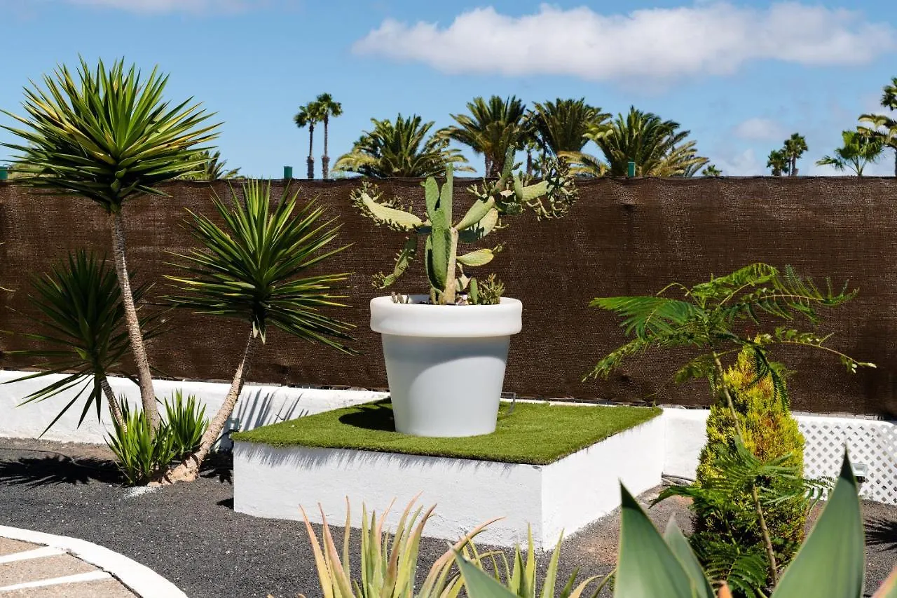Villas New Lanzasuites Playa Blanca  Playa Blanca (Lanzarote)